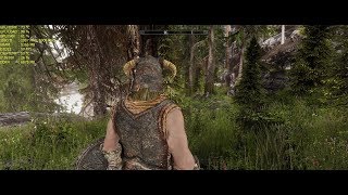 Skyrim SE  Ultra Modded  3440x1440  Max Settings  GTX 1080 Ti [upl. by Landes]