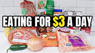 Eating for 3 a Day Cheap and Healthy Meal Ideas You Need to Try [upl. by Amarillis]