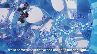 ACUVUE® OASYS with Transitions™ Mechanism of Action [upl. by Mahgem188]