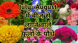 Flower Seeds To Grow In July amp Augustबीज से लगने वाले फूलों के पौधे grow flower seeds in Monsoon [upl. by Neehsuan798]