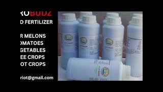 BEST LIQUID FOLIAR FERTILIZER AGROBUDZ [upl. by Ulda]