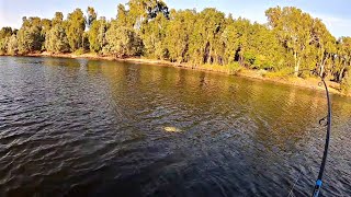 Trolling and Soft vibes for NT Barramundi  East Alligator river Kakadu [upl. by Ahsito]