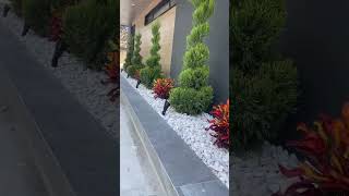 Spot intemperie para Jardin  ¿Cuál es tu mejor opción  Muestra profesional albanil usa mexico [upl. by Naujal]