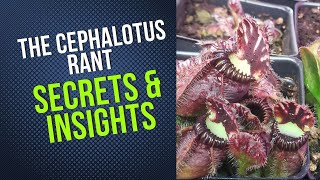 The Cephalotus Rant [upl. by Galloway]