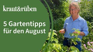 Gartentipps für August Samen ernten Erdbeeren pflanzen Gründüngung säen [upl. by Liahkim]