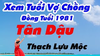 🎯 Chuẩn nhất Xem Tuổi Vợ Chồng Đồng Tuổi Tân Dậu 1981 Thạch Lựu Mộc Có Hợp Nhau Không [upl. by Hpeseoj]