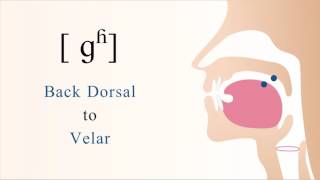 ɡʱ  voiced aspirated back dorsal velar stop [upl. by Dlarej57]