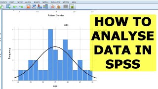 Analysis of Data in SPSS  How to Analyse Data on SPSS TUTORIAL Lesson 3 [upl. by Auqinal]