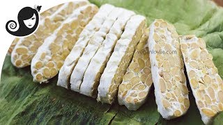 How to Make Tempeh Homemade  Easy Method [upl. by Lucilia]