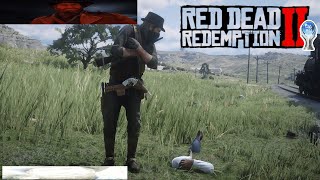 The Red Dead Redemption 2 Platinum [upl. by Alleahcim]