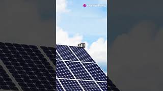 Renogy 100W Solar Panel Compact Power for Your Adventures [upl. by Rosenbaum]