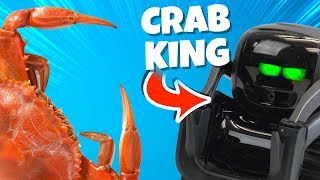 Wild Robot is the New Crab King [upl. by Charpentier549]