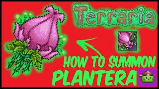 How To Summon Plantera In Terraria  Terraria 1449 [upl. by Eidroj]