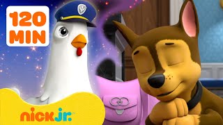 PAW Patrol Pups Have Weird Dreams 2 w Chase amp Chickaletta  2 Hours  Nick Jr [upl. by Kimmie334]