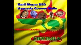 Marii Biyyaa RSO fi RHO Hayyoota Oromoo waliin taasise [upl. by Lalise]