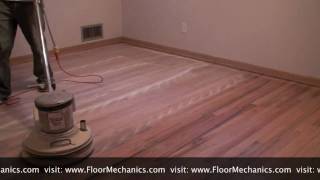 Hardwood floor refinishing Buffing between coats of finish [upl. by Shantee91]