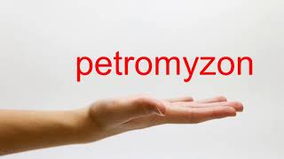 How to Pronounce petromyzon  American English [upl. by Yle]