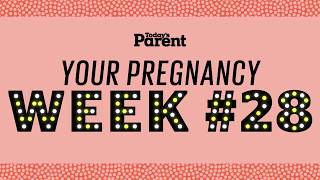 Your pregnancy 28 weeks [upl. by Cassie]