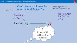 Halving Numbers using Patterns [upl. by Maidel]