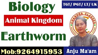 EARTHWORM  ANIMAL KINGDOM  TGTPGTLT BIOLOGY  BY ANJU MAURYA [upl. by Nylak575]