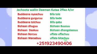 Afaan Oromoo Jechoota waliin Deeman Kutaa 2ffaa study Afaan OromooAmharic English letters [upl. by Zoubek]