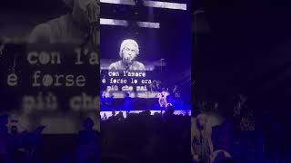 Lettera a G  Ligabue Live Arena di Verona 10102023 [upl. by Ylime]