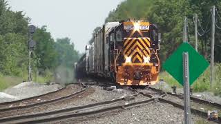 CSX and Wheeling amp Lake Erie Trains from Greenwich Ohio July 20 2024 Part 3 [upl. by Hanoy]