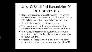 Olfactory System Part2  Calicut university Bsc Psychology [upl. by Ognimod]