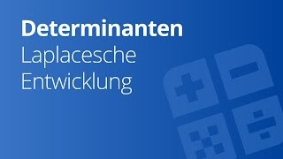 Determinanten von 4x4Matrizen Laplaceschen Entwicklungssatz  Naturwissenschaften und Mathematik [upl. by Noneek]