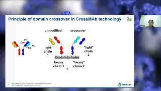 Webinar Bispecific Antibody Overview amp Production with CrossMab Technology [upl. by Libbie]