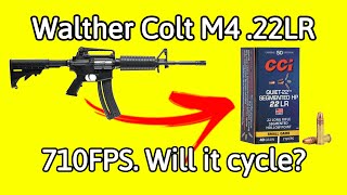 CCI Quiet22 Segmented HP 710 FPS Rounds [upl. by Maite143]