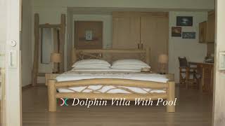 Dolphin Villa with Pool [upl. by Vidovik]