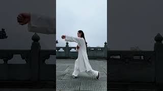 Wudang Taiji 13 Forms [upl. by Oeflein]