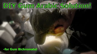 Gum Arabic Solution For Gum Bichromate Printing [upl. by Antonina]