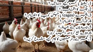 ghar mein chotta layer farm banana eik umadah or nafa bakhsh kam hay  poultry farm business plan [upl. by Dnyletak]