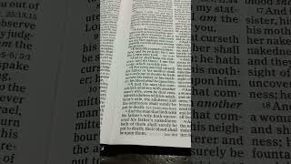 Bible Reading Leviticus Chapter 20 Verse 911 [upl. by Bunow]