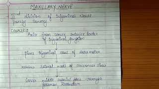 Maxillary Nerve [upl. by Annaj]