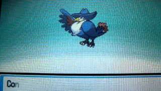 Pokemon SoulSilver Murkrow evolve [upl. by Tnomal]