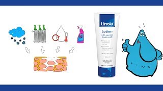 Linola Lotion with valuable linoleic acid [upl. by Macdermot]