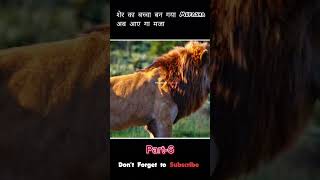 Part6 शेर का बच्चा बना Mufasha  the lion King movie explained explainx ytshorts shorts [upl. by Ihn]