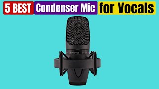 Best Condenser Mic for Vocals of 2024 Updated [upl. by Nico]