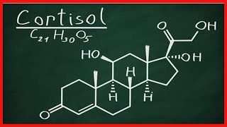 Corticotropina qué es y cómo funciona [upl. by Lowenstein658]