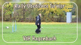 Rally Obedience Turnier Hagenbach  05112017  Klasse 2 [upl. by Hachman]