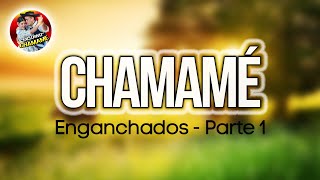 ✅ENGANCHADOS de CHAMAMÉ 2024 🎼 quotParte 1quot 🎼EXCLUSIVO CHAMAME 2024✅ [upl. by Aynnat]