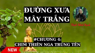 Ánh sáng Phật pháp Chim Thiên Nga Trúng Tên  Bài Học Của Lòng Từ Bi  Thích Nhất Hạnh [upl. by Percival]