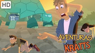 Aventuras com os Kratts  Belas Criações de Veneno [upl. by Marcelline469]