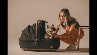 Tavo Pets  Effortlessly Installable Pet Car Seats [upl. by Naara125]