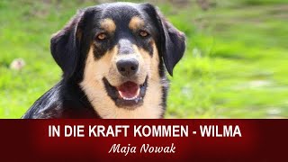 In die Kraft kommen  Wilma  von Maja Nowak  Teil 1 [upl. by Ubald]