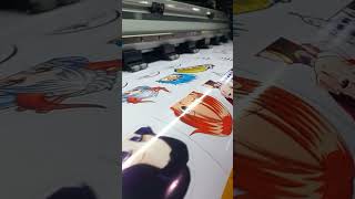 High Quality Sticker printer [upl. by Malone]