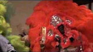 Creole Wild West Mardi Gras Indians [upl. by Aklog470]